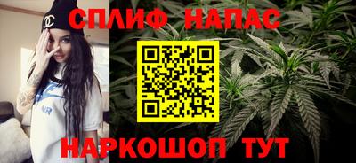 прущие грибы Краснодар