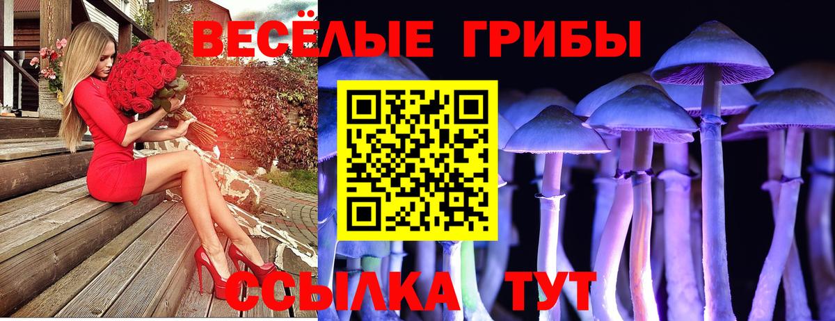 Псилоцибиновые грибы прущие грибы Ефремов